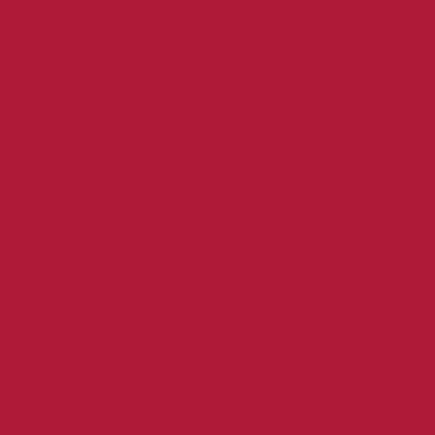 Ral 3027