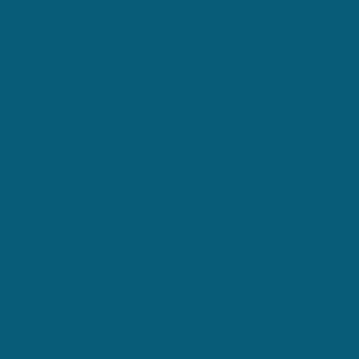 Ral 5009